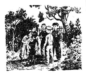 Тайна стонущей пещеры (с илл.) - i_023.png
