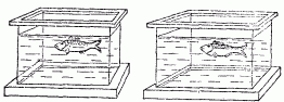Занимательная физика. Книга 1 - pic_137.png