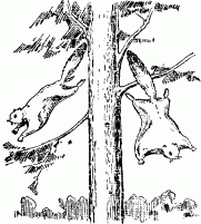 Занимательная физика. Книга 1 - pic_35.png