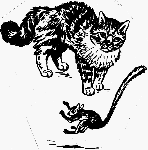 Мой дом на колёсах (сборник) - _32.png