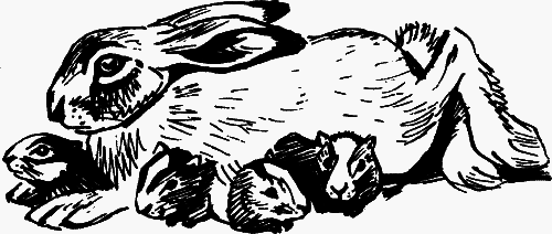 Мой дом на колёсах (сборник) - _40.png