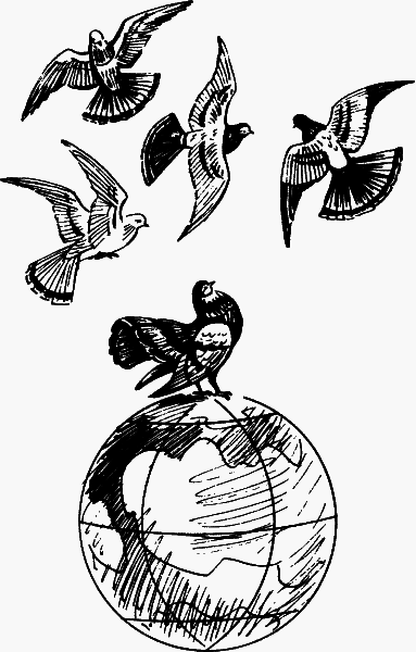 Мой дом на колёсах (сборник) - _55.png