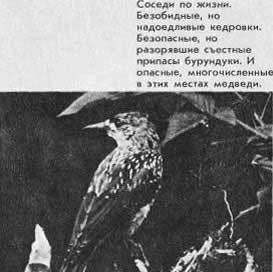 Таежный тупик - image51.jpg