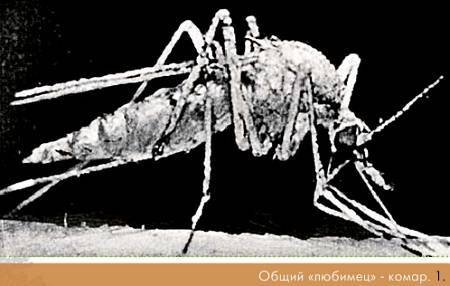 Окно в природу - _43.jpg