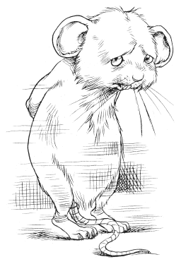 Юная леди Гот и призрак мышонка - i_100.png