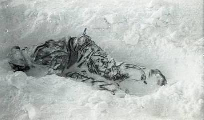 Тайна гибели группы Дятлова - i_022.jpg