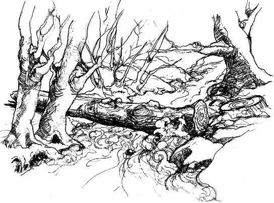 Сара. Книга 2. Бескрылые друзья Соломона. Приключения в мире мудрости. Путь к счастью - i_006.png
