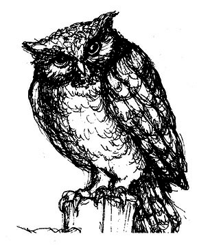 Сара. Книга 3. Говорящий филин стоит тысячи слов. Как пережить приключения, ничем не рискуя - i_037.png