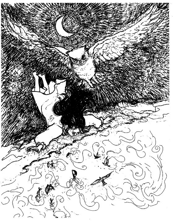 Сара. Книга 3. Говорящий филин стоит тысячи слов. Как пережить приключения, ничем не рискуя - i_054.png