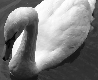 Photoshop CS4 - _308.jpg