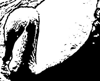 Photoshop CS4 - _375.jpg