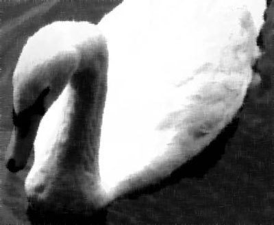Photoshop CS4 - _377.jpg