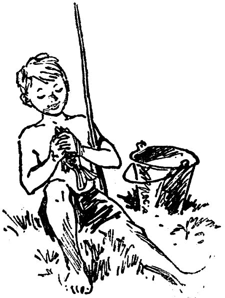 Первое знакомство (сборник) - i_009.png