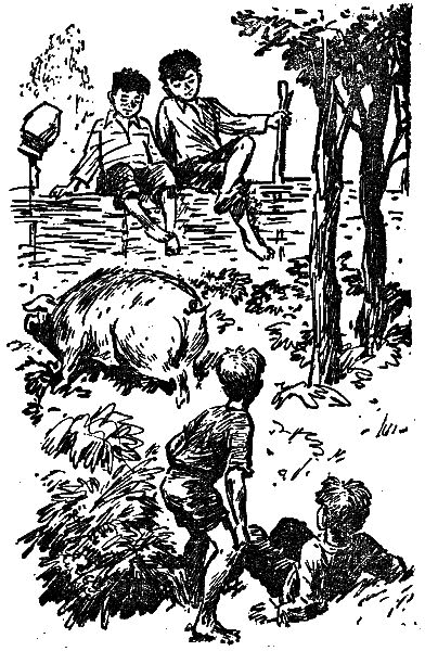 Первое знакомство (сборник) - i_011.png