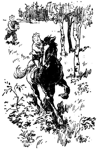 Первое знакомство (сборник) - i_013.png