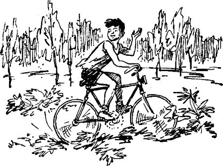 Первое знакомство (сборник) - i_015.png