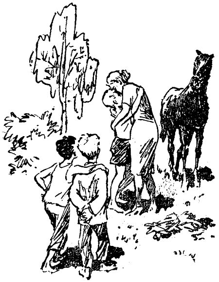 Первое знакомство (сборник) - i_018.png