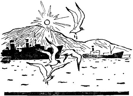 Первое знакомство (сборник) - i_020.png