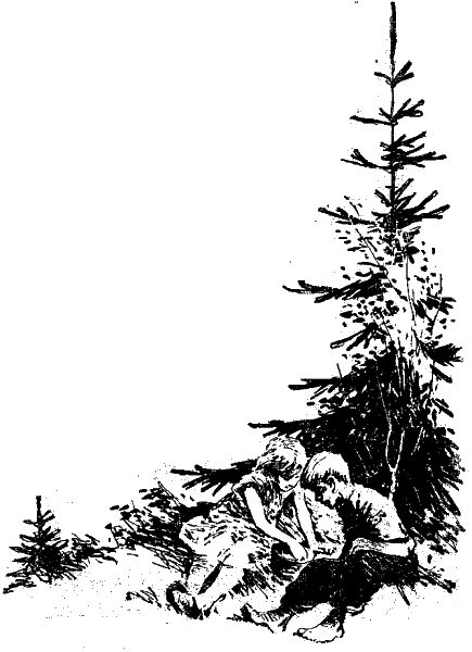 Первое знакомство (сборник) - i_031.png