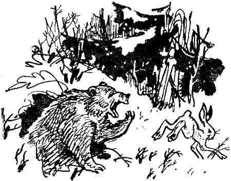 Первое знакомство (сборник) - i_040.png