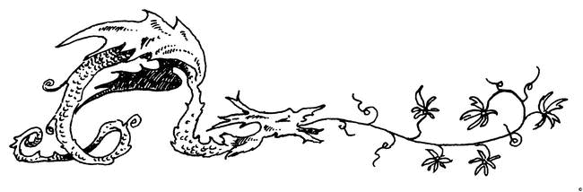 Чернильное сердце (др. перевод) - i_007.png