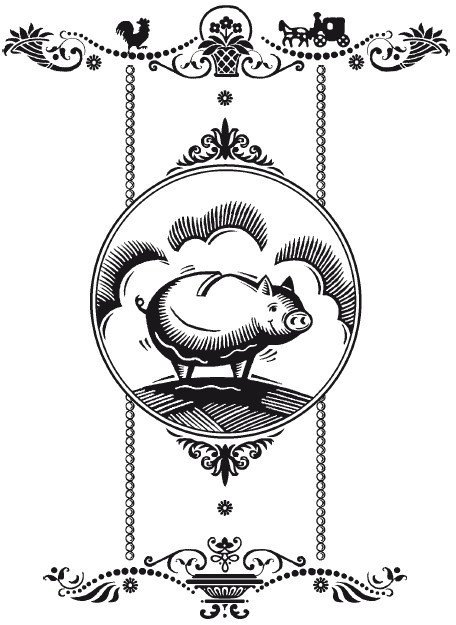 Роза с могилы Гомера (сборник) - i_038.jpg