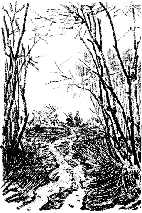 Кладовая солнца - i_006.png