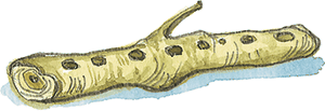 Лисичкин хлеб - i_018.png