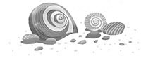 Лето пахнет солью (сборник) - shell_konzovka.jpg