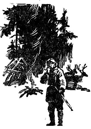 Пашка из Медвежьего лога - pic_24.jpg