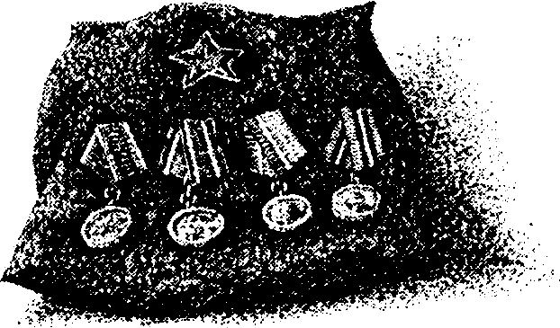 Пролетный гусь - i_003.png