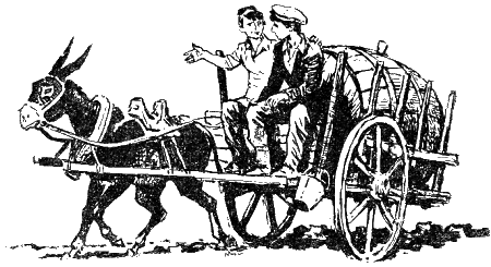Зеленые каникулы - i_007.png