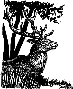 Затерянная земля (Сборник) - i_037.png