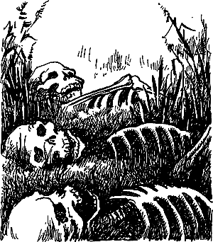 Затерянная земля (Сборник) - i_101.png
