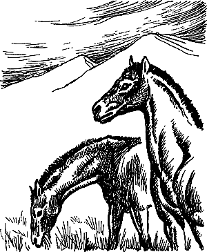 Затерянная земля (Сборник) - i_141.png