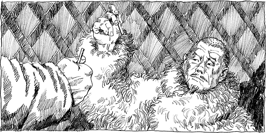 Бох и Шельма (сборник) - i_006.png