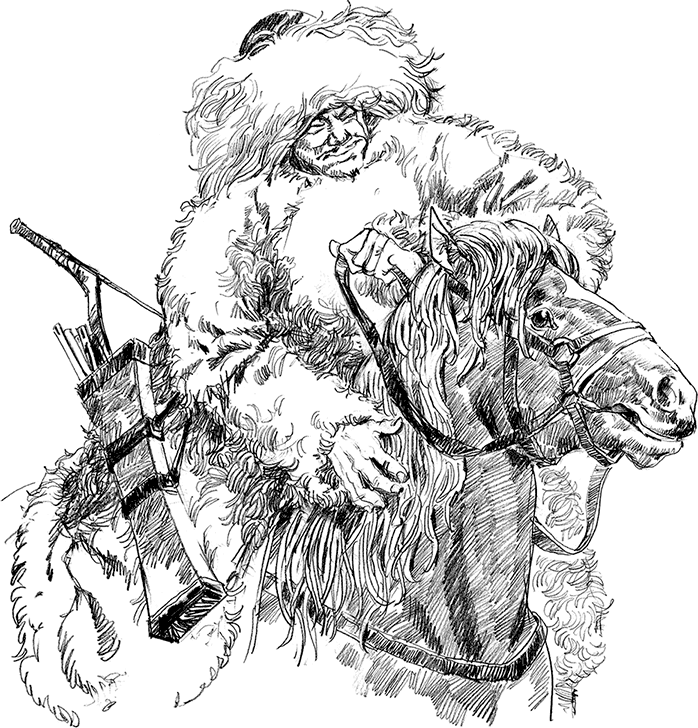 Бох и Шельма (сборник) - i_007.png