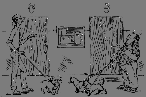 Великий треугольник, или Странствия, приключения и беседы двух филоматиков - n047.png