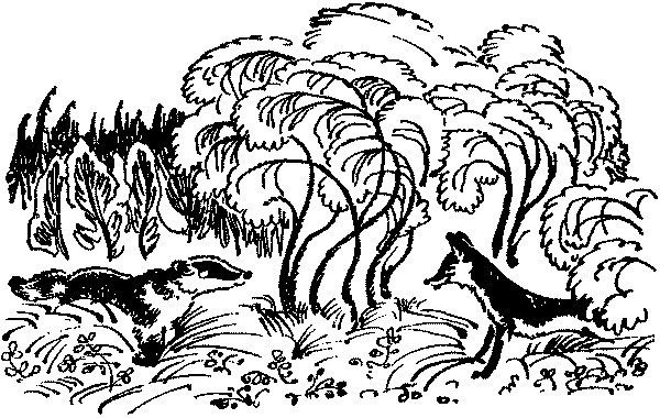 Лесная быль. Рассказы и повести - pic003.png
