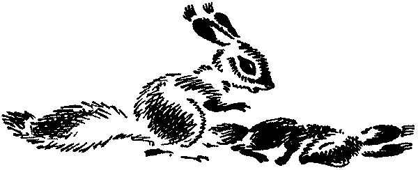 Лесная быль. Рассказы и повести - pic009.png