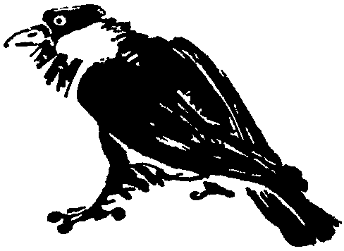 Лесная быль. Рассказы и повести - pic010.png