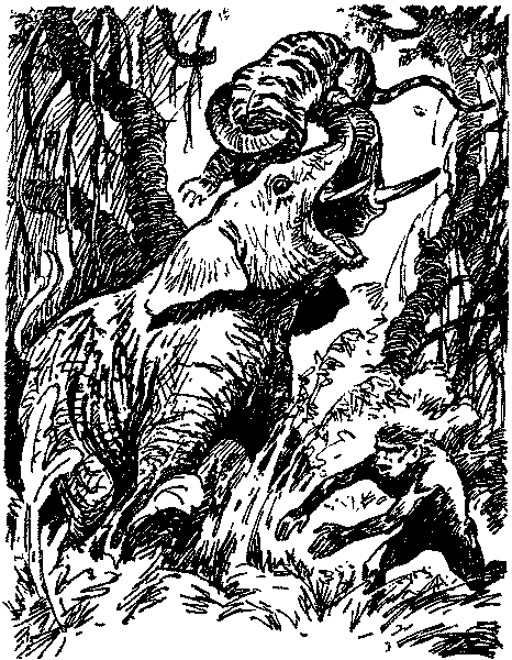 Рам и Гау - pic004.png