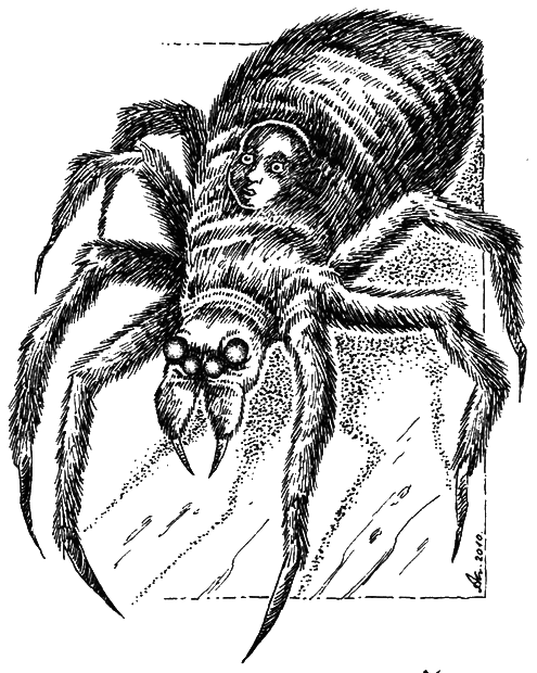Темна вежа. Темна вежа VII - i_002.png