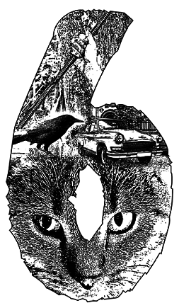 На запах м’яса - pic_6.png