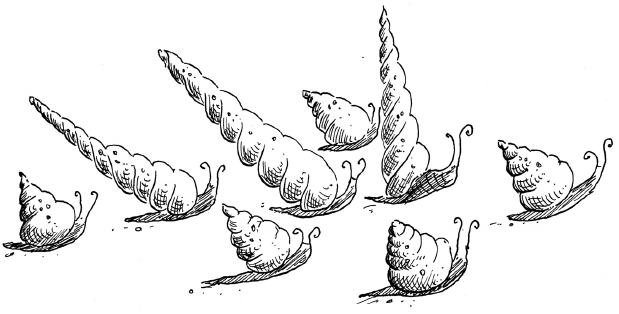 Русалки с Рифа Морской Звезды - i_040.png
