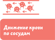 Как устроен человек - i_016.png