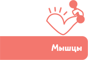 Как устроен человек - i_051.png