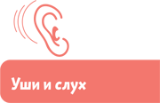 Как устроен человек - i_076.png