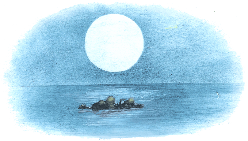 Приключения Пиноккио (Худ. Роберт Ингпен) - i_091.png