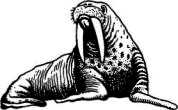 История корабля - i_019.png